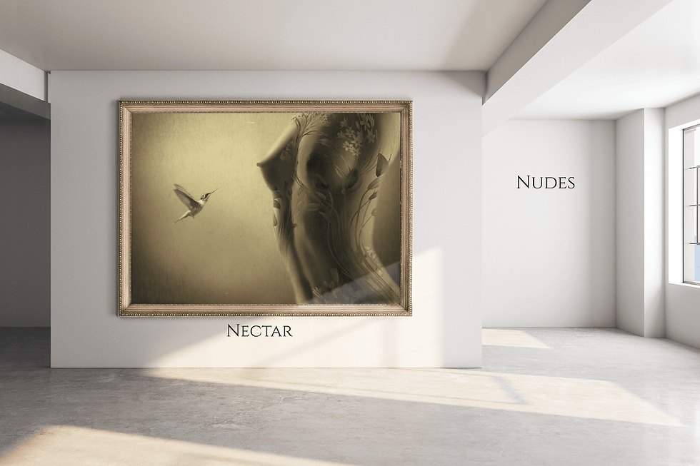 Nudes, Nectar, sepia-toned artwork; bird in flight