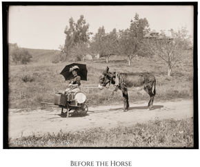 Woman with parasol riding in wagon pulled by donkey; BEFORE THE HORSE