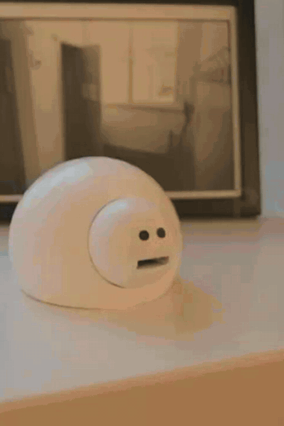 polly.gif