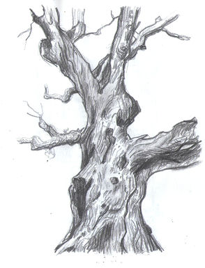 sketch_07b 75 dpi 800 px.jpg