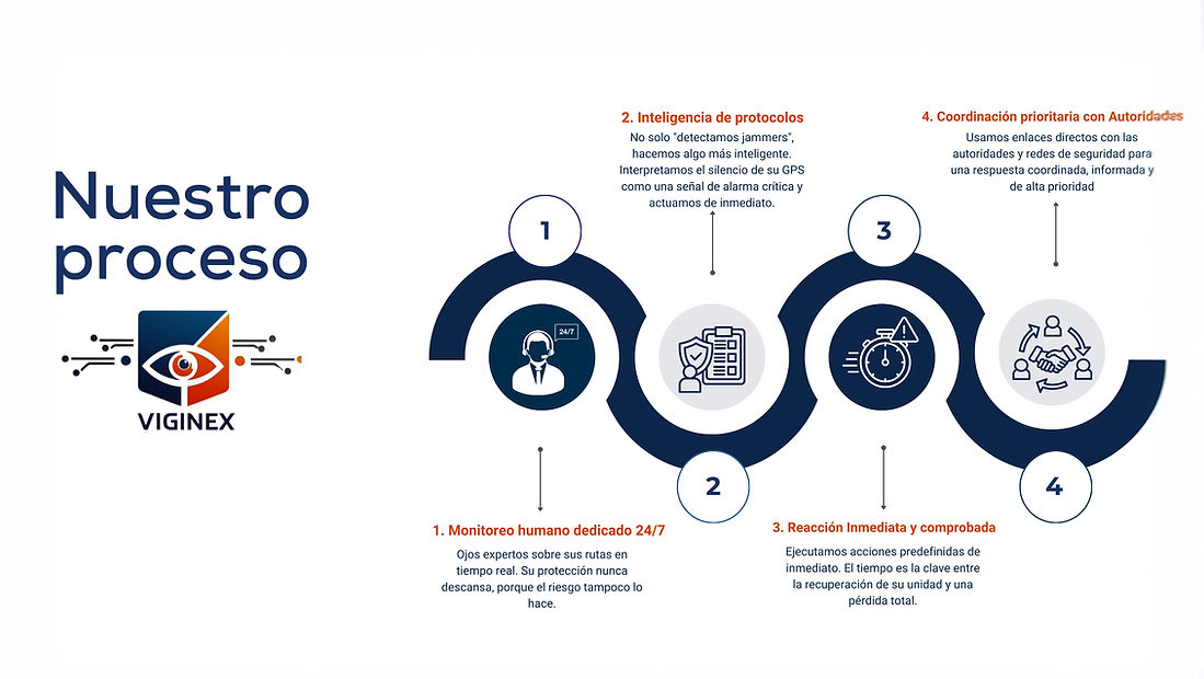 Proceso VIGINEX