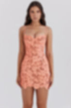 Thumbnail: Embroidered Floral Lace Mini Dress
