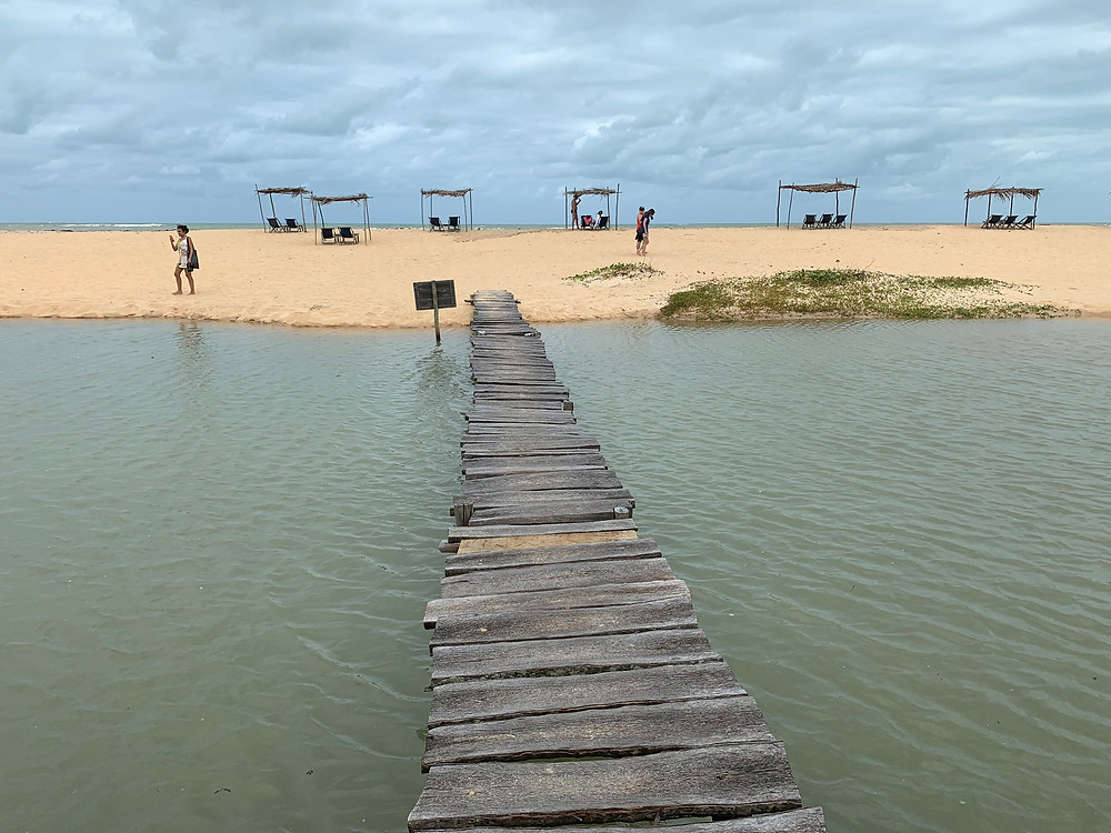dicas restaurantes bahia