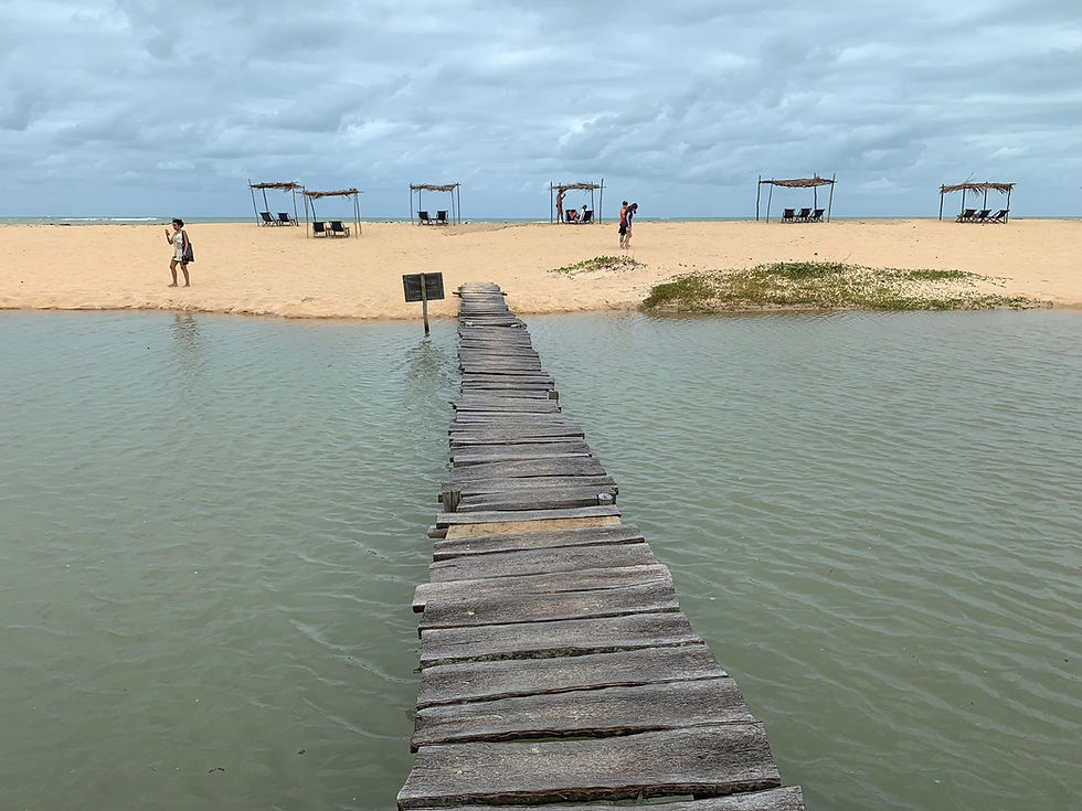 dicas restaurantes bahia