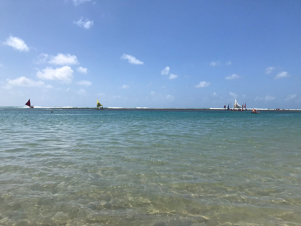 praias do nordeste mais visitadas