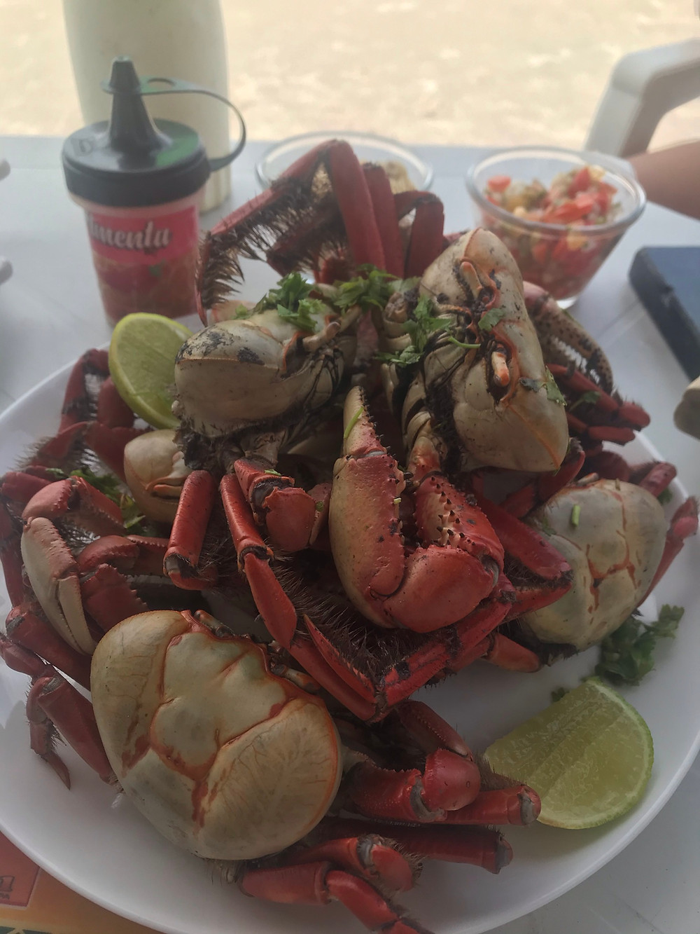 comida típica pará