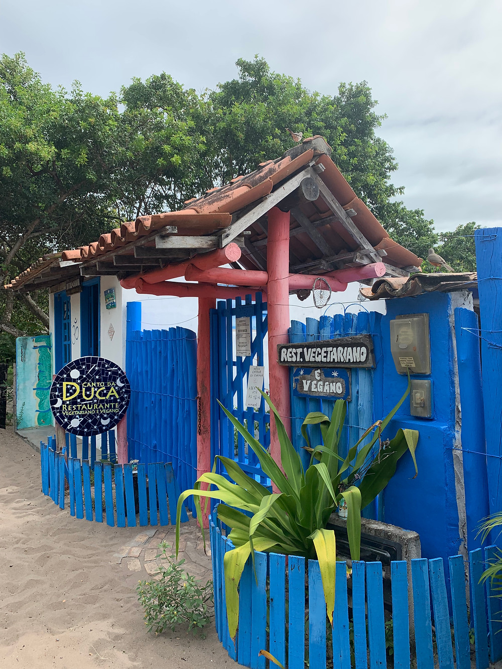 restaurantes vegano em caraiva