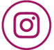 iCONOS REDES LINEA.png