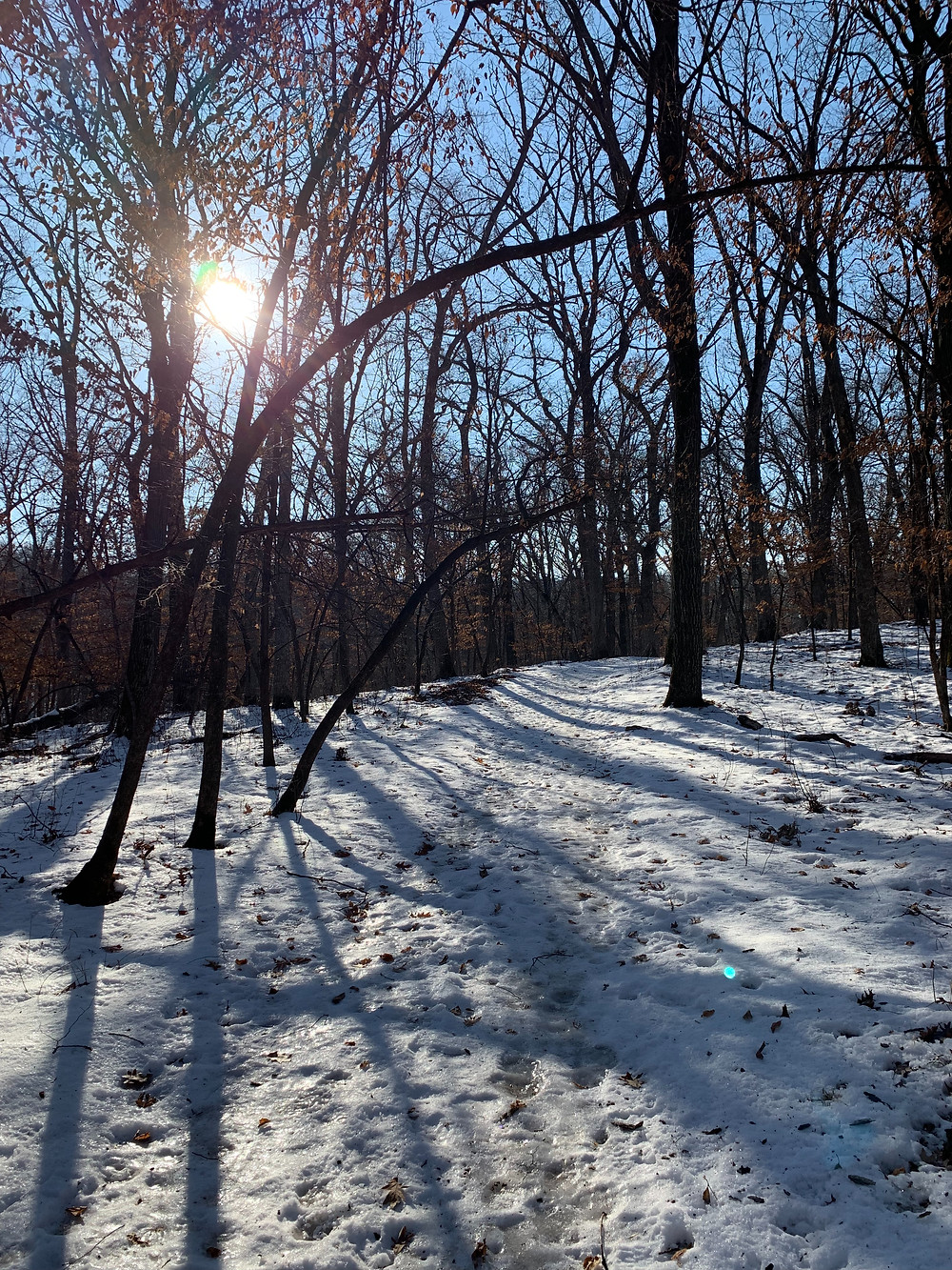 healing in nature