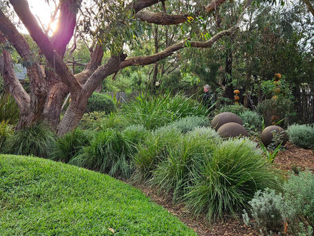 Sunnymeade by Twilight - Anglesea