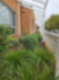 20250826_142303.jpg
