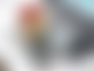 Court Grants Final Approval to $500,000 Class Action Settlement In FDCPA Lawsuit Against Shellpoint Mortage Servicing.