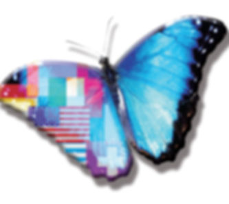 American_Song_butterfly-sm.jpg