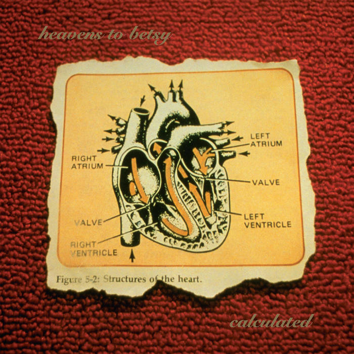 [the album cover for calculated, taken from bandcamp]