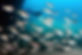 061872a8-1740-4043-b6d0-15cb759b77a3.JPG