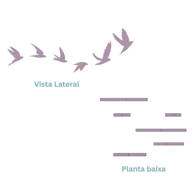 Representação do Pássaro 10a c Pequeno