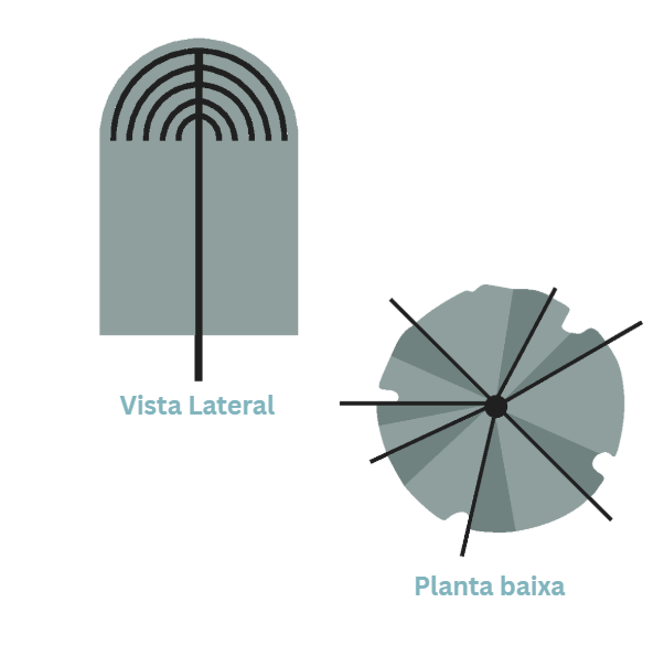 Representação de Árvore 5 - Coleção 10