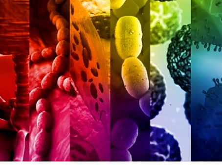 ASM Microbiology Spectrum