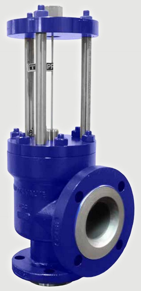 Rupture Pin Model CC-ASME UD-stamped angle relief valve