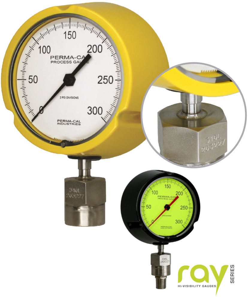 Perma-Cal process gauge with welded diaphragm seal and Ray Series high-visibility gauge