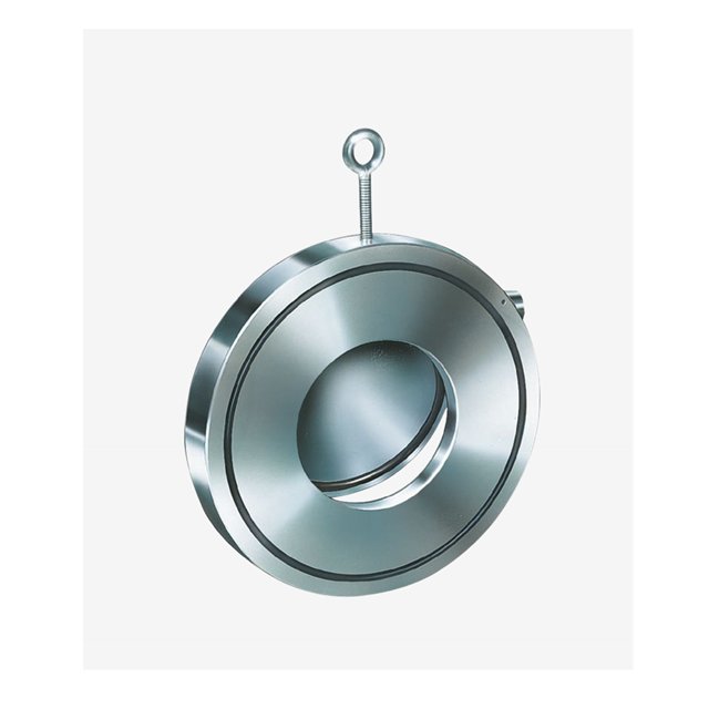 EBRO RSK wafer check valve