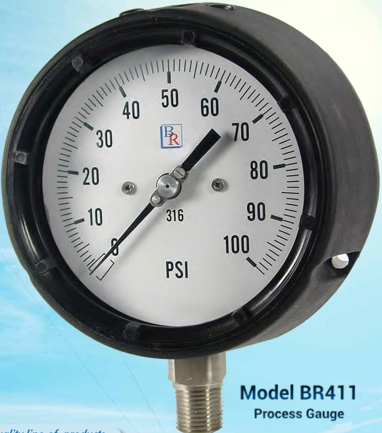 Blue Ribbon BR411 process pressure gauge with 316 SS connection