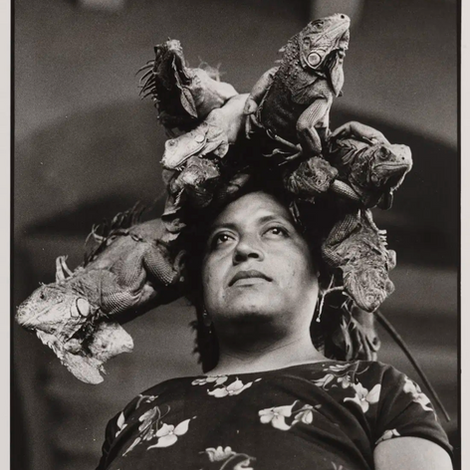 Sample Ekphrastic Poems by Brenda Cárdenas