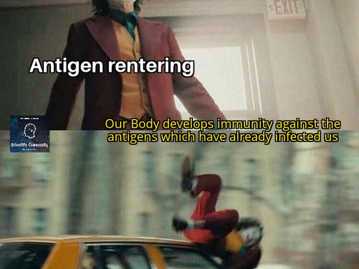 What happens to an Antigen that re-enters the body???