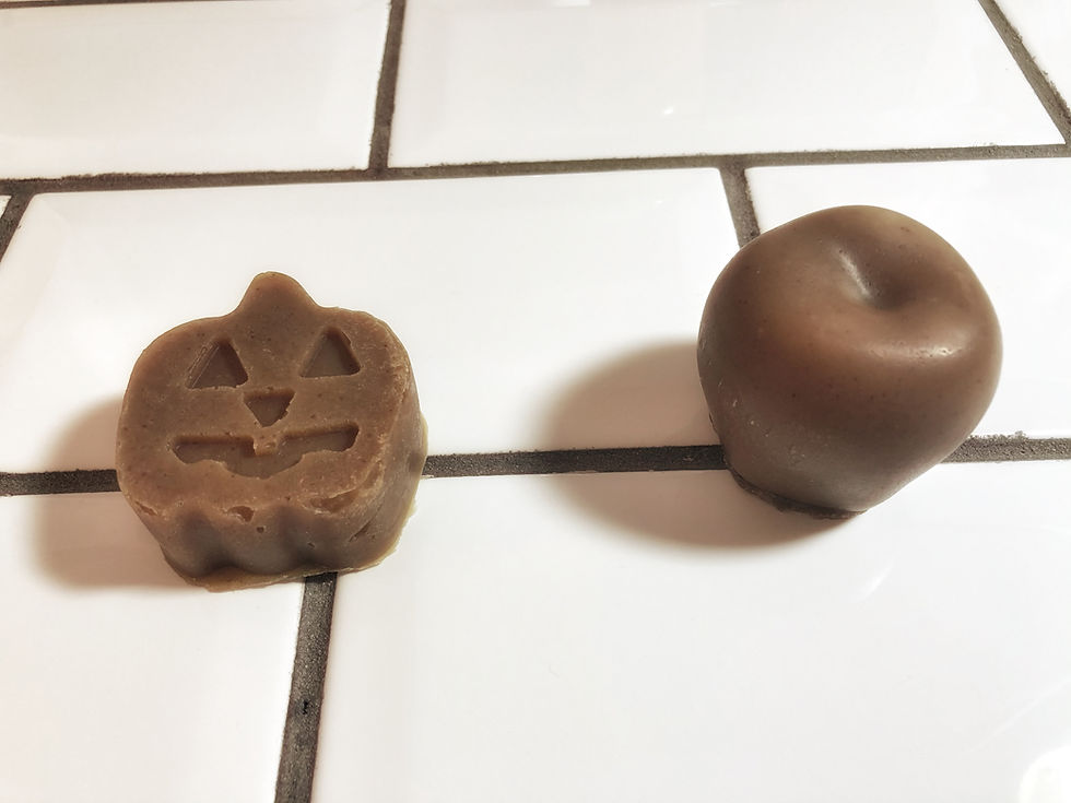 Apple & Pumpkin Shampoo