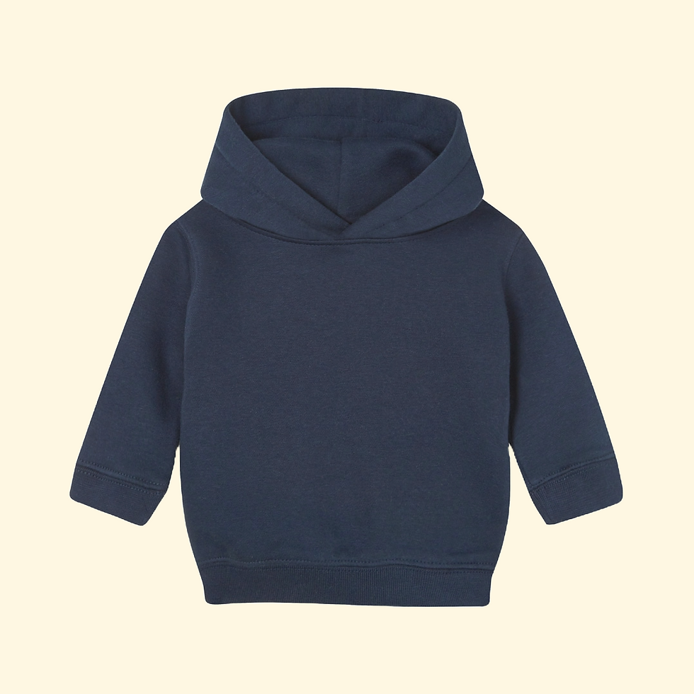 Thumbnail: Bird Baby Hoodie