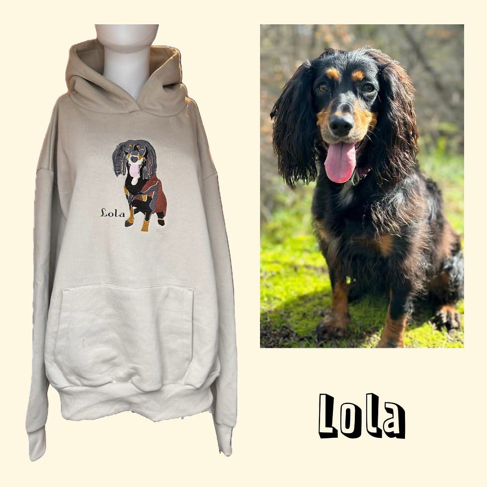 Thumbnail: Luxury Pet Hoodie