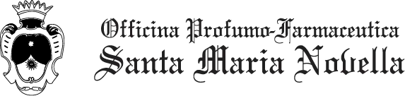 SMN_logo_web.webp
