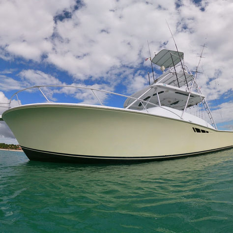 🌴 Top Things to Do in Cozumel This Fall: Cozumel Fishing Tours, Snorkeling & Private Yacht Adventures
