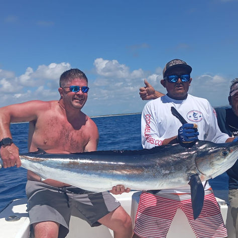 🎣 Cozumel Fishing Charters: White Marlin Caught on a 4-Hour Trip