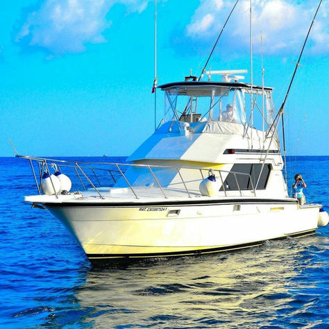 Discover the Ultimate Luxury Fishing Charters