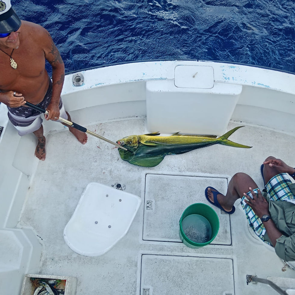 🎣 Cozumel Fishing Charter Mahi Mahi: Fresh Catch Just Minutes Offshore