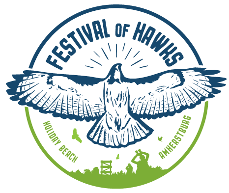 Festival of Hawks Weekend