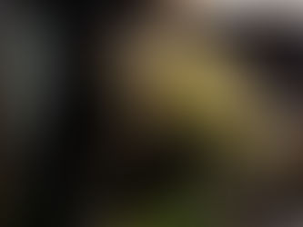 2016年秋のイベントご案内