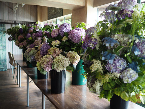 2016年10月開講レッスン申込み受付開始