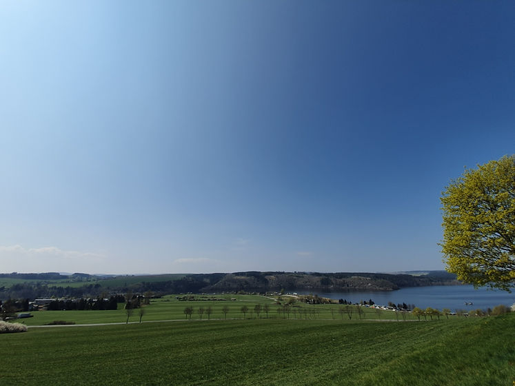 Blick von der Fürstenhöhe Saalburg.jpeg
