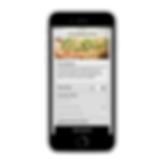 Product Description Page