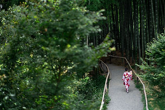 DSC01754-编辑.jpg