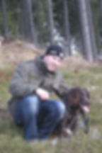 gaestedorf-langenwang-hund-01-web