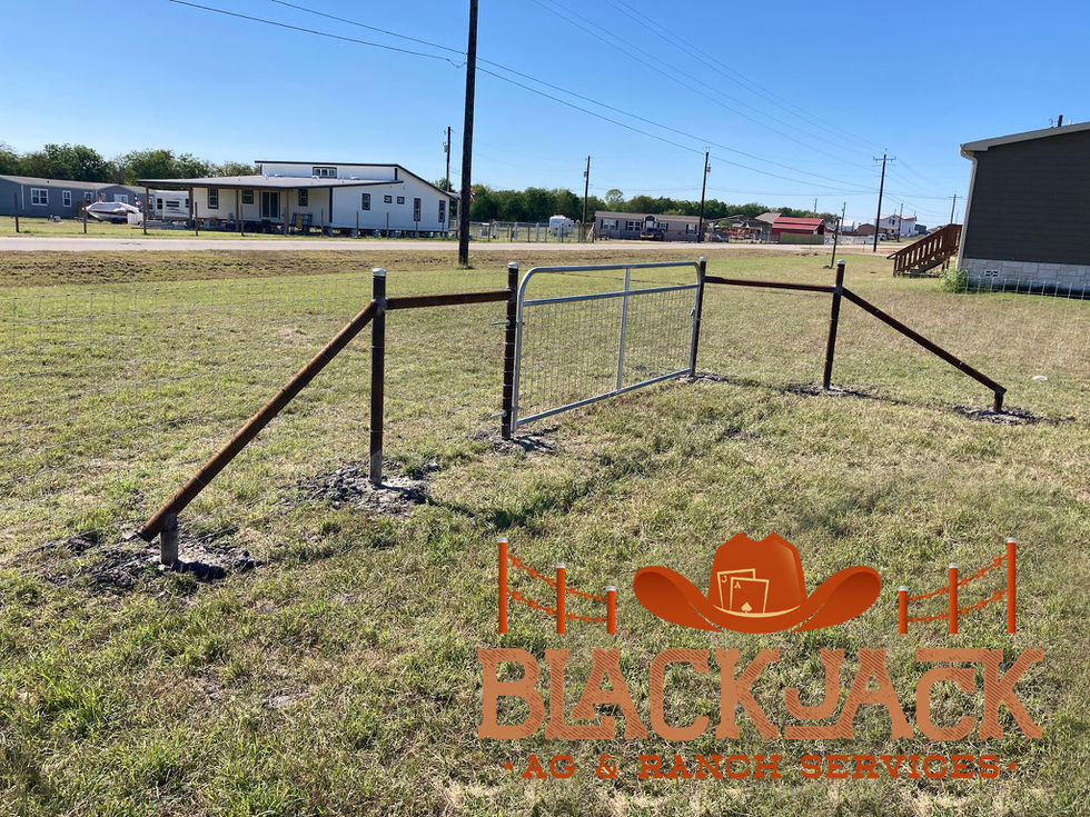 8CDF3D58-B2A2-4AF3-897F-67BD0007F2B2_1_105_c copy