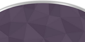 Price Tag background.png
