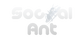 Social Ant logo