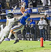 Sneed