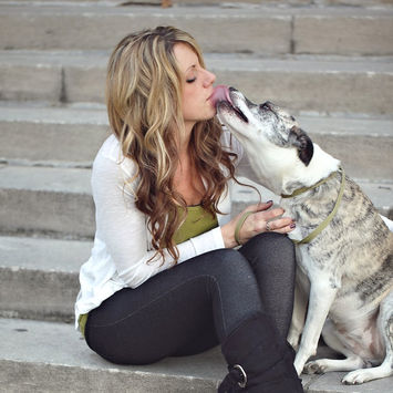Saint Petersburg Mobile Dog Groomer, St Pete Dog Grooming, Big dog groomer, Sweet dog groomer