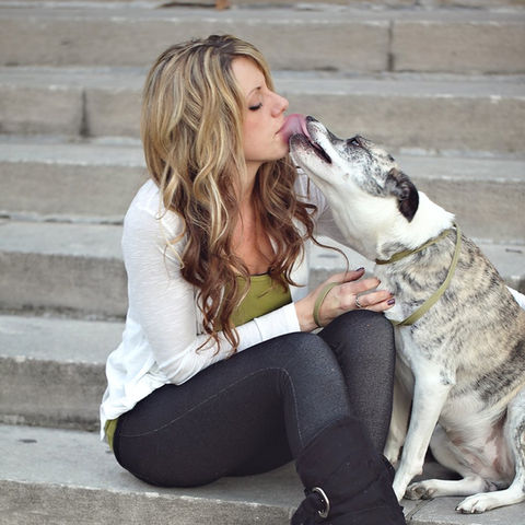 Saint Petersburg Mobile Dog Groomer, St Pete Dog Grooming, Big dog groomer, Sweet dog groomer