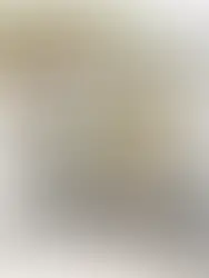 WISTERIA - A CASE STUDY